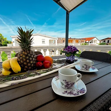 Apartmani Cvangic Vir Exterior photo