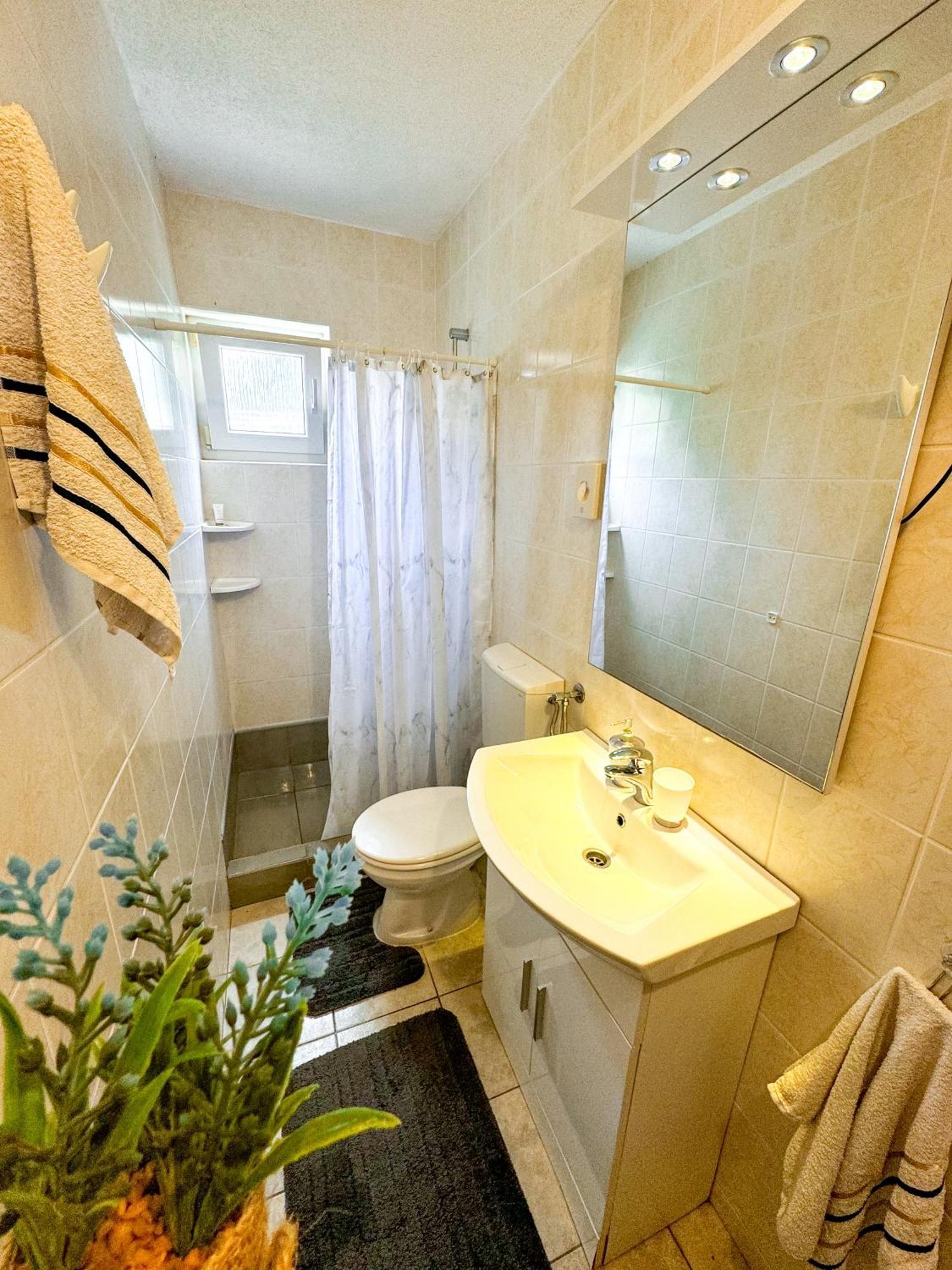 Apartman Cvangic Vir
