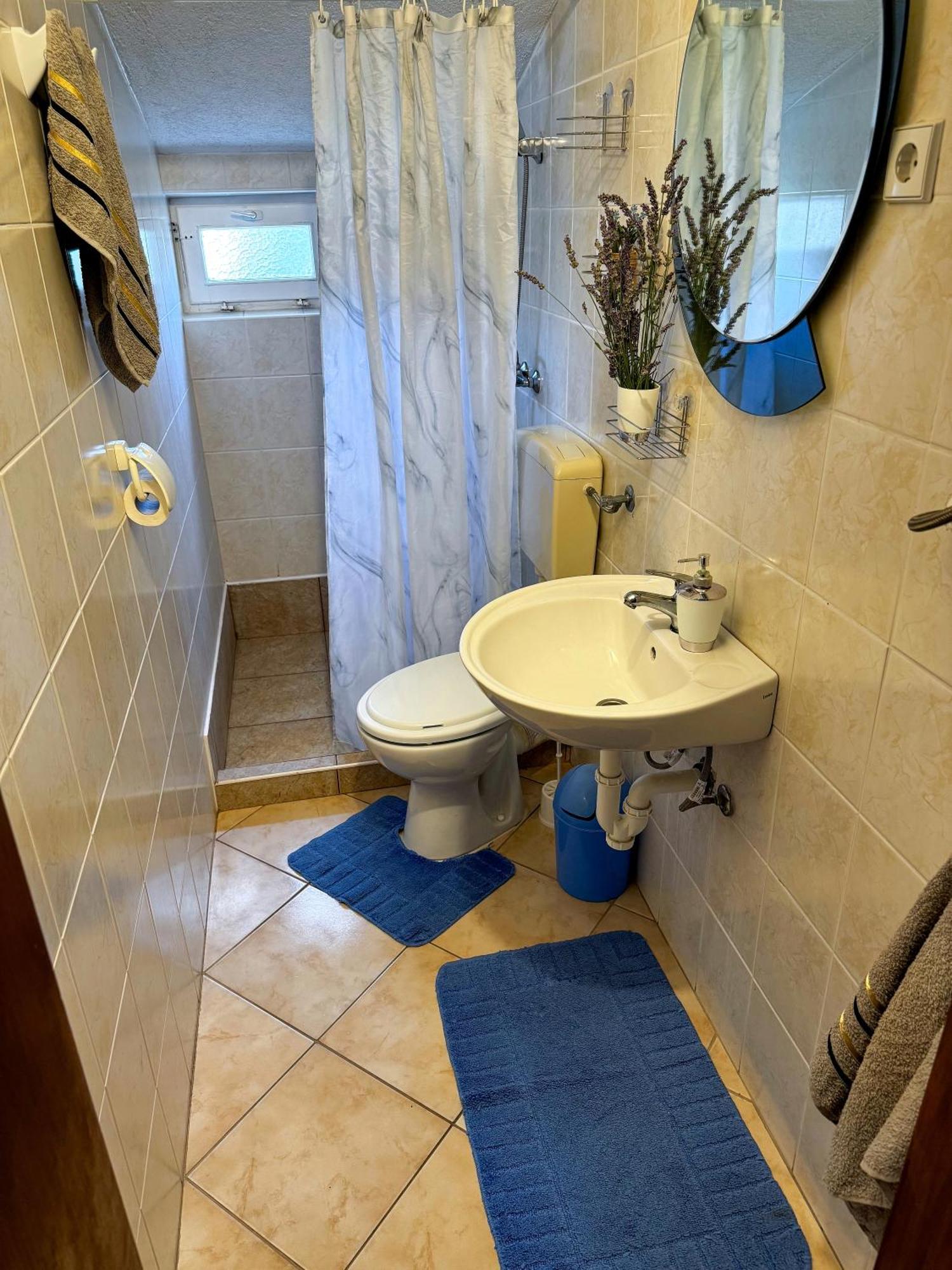 Apartman Cvangic *