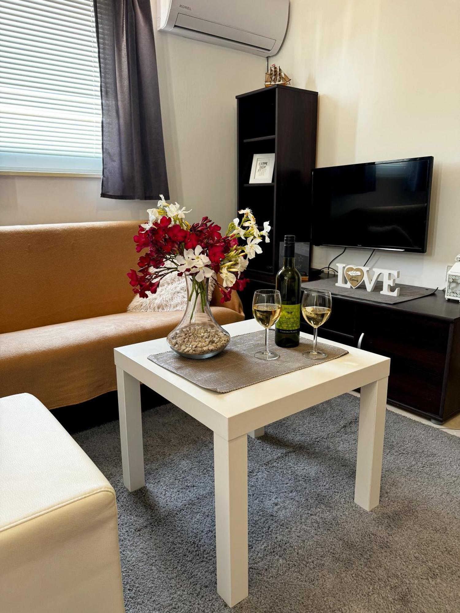 Apartment Cvangic Vir